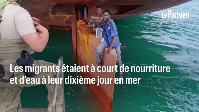 J'avais tellement peur : lls traversent la planète cachés dans le gouvernail d'un cargo