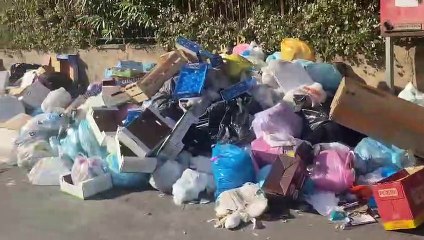 Palermo d'estate, alla fermata del tram con la puzza dei rifiuti