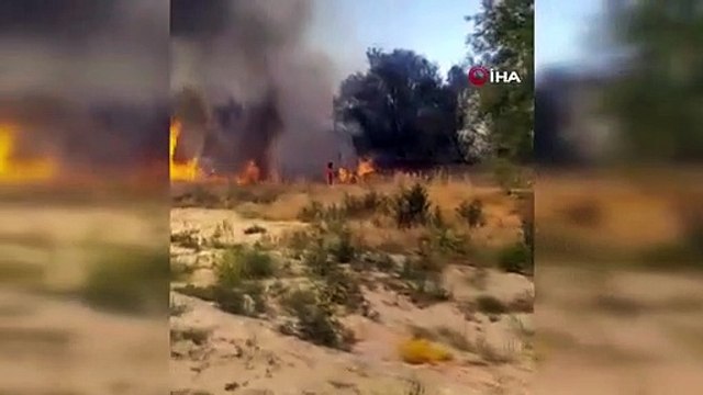 10 acres de roseaux transformés en cendres à Isparta