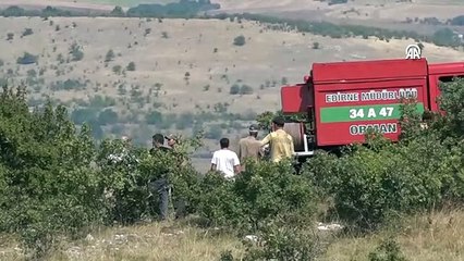 Tải video: Türkiye - Bulgaristan sınırında çıkan orman yangınına müdahale ediliyor