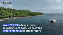 Les océans ont battu un nouveau record mondial de température en surface