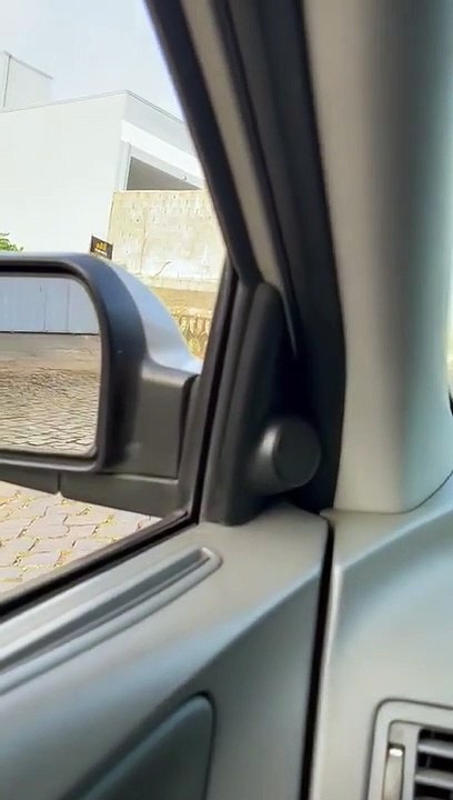 La litière de porcelets trotte aux côtés de la truie