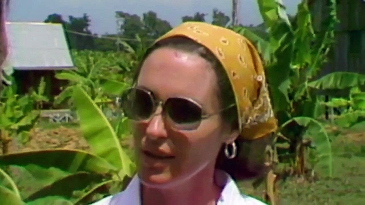 The Case of Tracy Parks