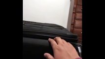 Determined cat claims suitcase, refuses to allow owner to pack (2)