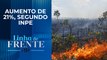 Alertas de desmatamento no Cerrado brasileiro batem recorde; bancada opina | LINHA DE FRENTE