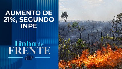 Alertas de desmatamento no Cerrado brasileiro batem recorde; bancada opina | LINHA DE FRENTE