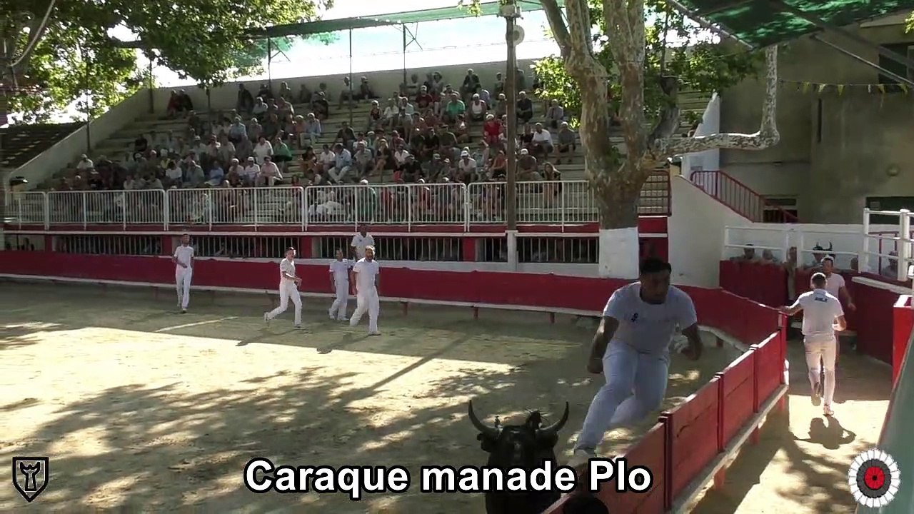 2023 07 29 Caraque