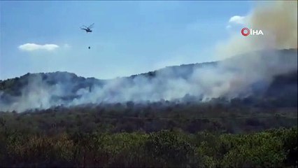 Türkiye - Bulgaristan sınırında çıkan organ yangınına müdahale ediliyor
