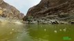 Incredible Fish Climbing Waterfalls With Their Mouths