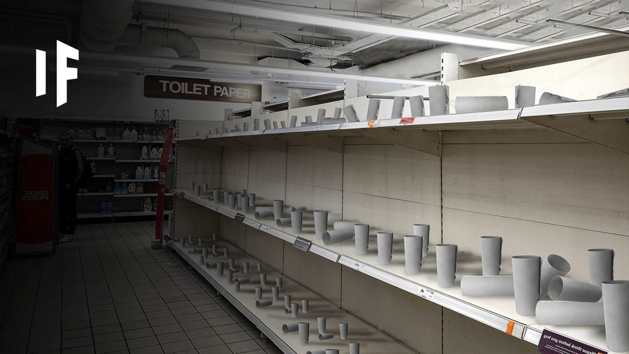 What If We Ran Out of Toilet Paper?