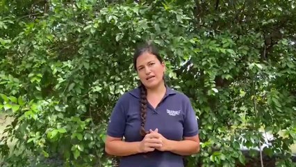 Declaraciones Santuario Las Palmas