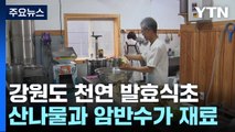 강원도 산나물·암반수 들어간 천연 발효식초 / YTN