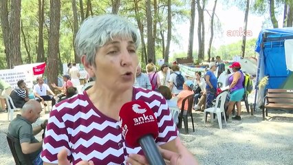 Selma Gürkan, présidente de l'EMEpisodeisode : la compréhension qui tue les forêts d'Akbelen est une exploitation débridée