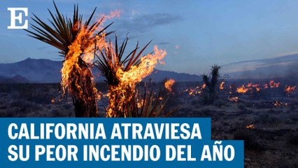 Incendio forestal en California