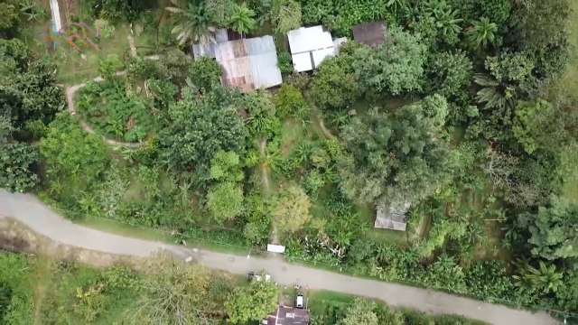 La Universidad de Viena tiene una estación Biológica en Golfito. qn-La Universidad de Viena tiene una estación Biológica en Golfito.-040823