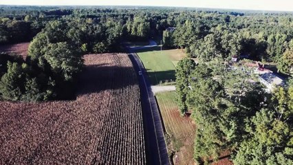 O Jardim das Aflições | movie | 2017 | Official Teaser