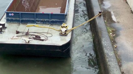 Prova de natação no Sena é adiada por poluição do rio