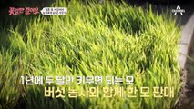 늘 바쁘게 살아온 아내! 허리 아픈 뒤 우리 남편이 달라졌어요(?)