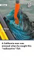 Sorpresa y temor por “pez radioactivo” que fue atrapado en actividad de pesca en California 