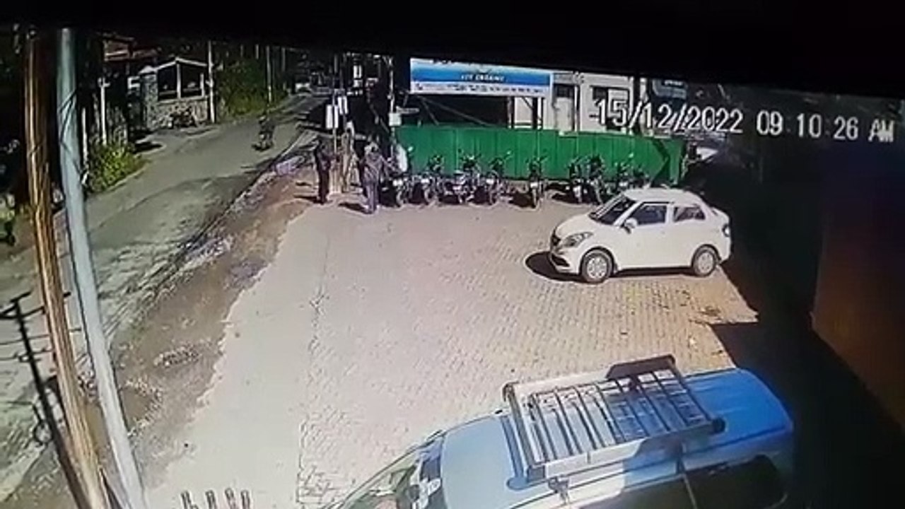 Indian Bison Attack