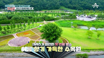 소원을 빌었더니 비바람이?! 크리스 소원에 온 가족의 대피 소동!