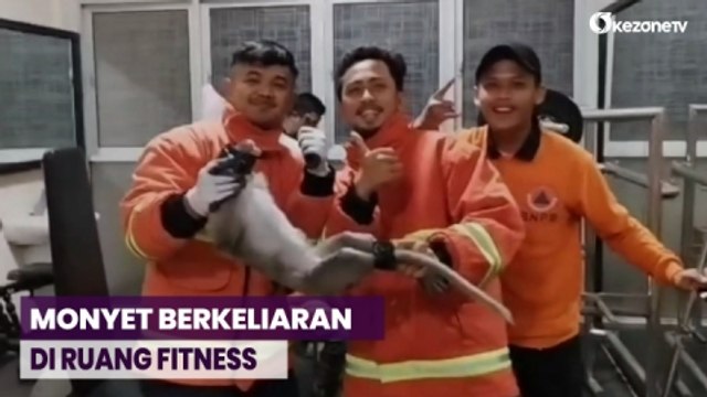 Heboh! Monyet Ekor Panjang Masuk Rumah Mewah di Kota Pasuruan