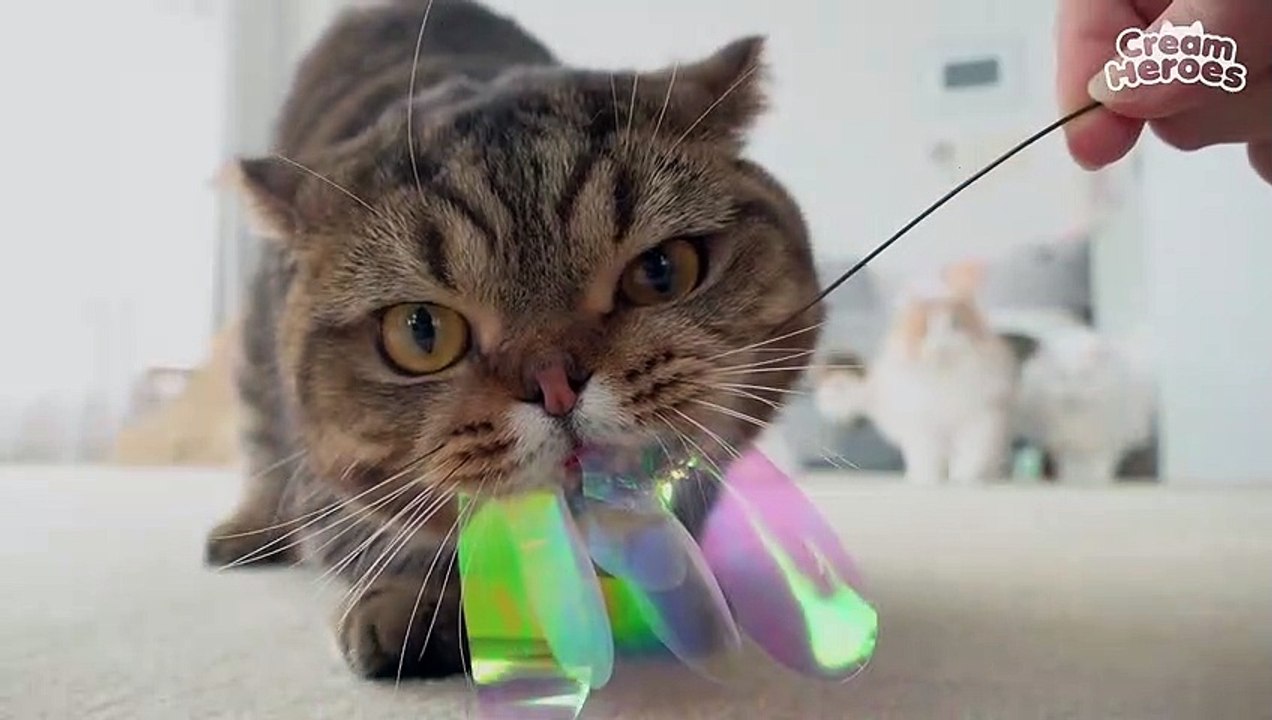 (ENG SUB) LuLu Is Really.. REALLY Amazing