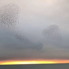 THE ARCHETYPES - ALEXIS KARPOUZOS