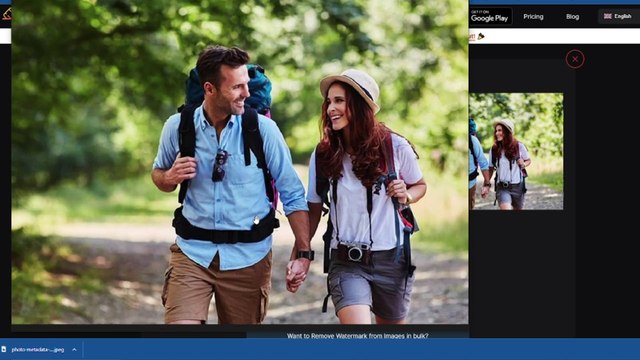 Top 5 Online FreeWatermarkRemovers | bestwatermarkremoveronline free