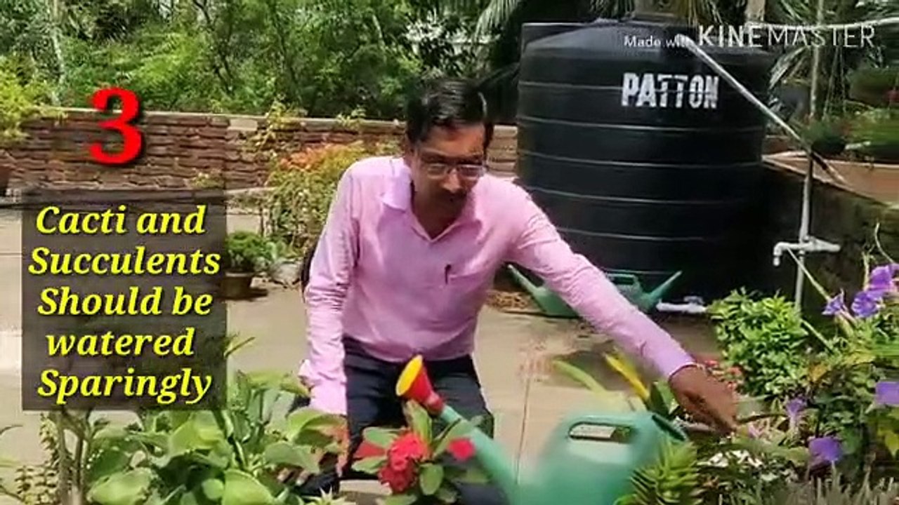 20_गार्डन_टिप्स__Part_-_1,_जो_आपको_जानना_बहुत_जरूरी_है।_20_Gardening_Tips_you_must_know.(360p)
