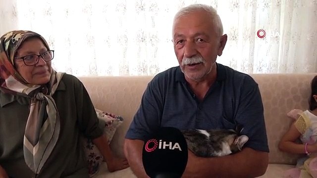 Depremde kaybettikleri kedilerini geri dönüp 5 ay sonra buldular