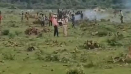 विदिशा: वन विभाग और पुलिस ने मुक्त करवाई सरकारी जमीन,मचा बबाल