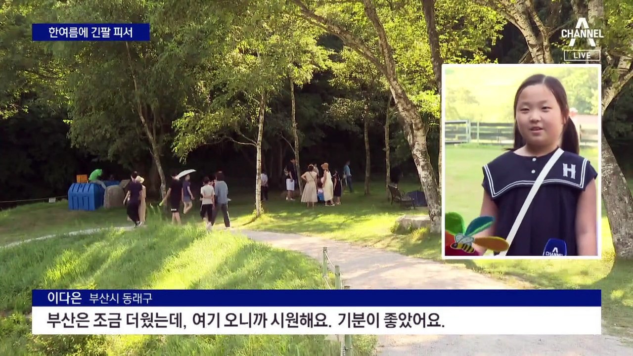 대관령은 폭염 피난처…“에어컨 필요 없어요”