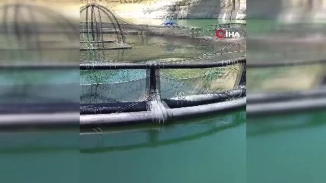 Alabalık üretim tesisinde çalışan kadın mühendis, tekneden suya düşüp kayboldu