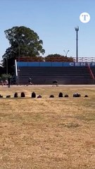 VÍDEO: Candidato morre após realizar teste de aptidão física em concurso da PM