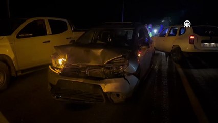 Van'da sürüye çarpan otomobildeki 2 kişi yaralandı, 25 koyun telef oldu