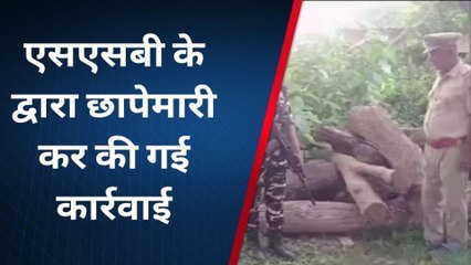 बलरामपुर: एसएसबी ने की छापेमारी,इतनी लकड़ी बरामद