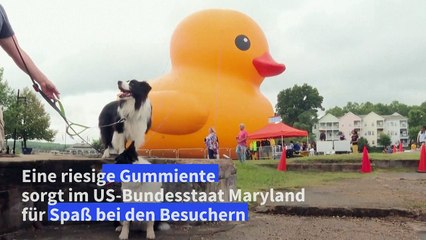 Riesige Gummiente sorgt für Spaß an der US-Ostküste