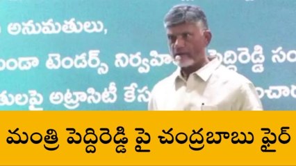 తిరుపతి జిల్లా: మంత్రి పెద్దిరెడ్డి పై చంద్రబాబు ఫైర్
