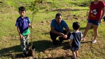 Árvores são plantadas às margens do Rio Quati-Chico em Cascavel