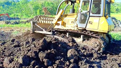 D6G Bulldozer in Action Pushes Soil in the Forest
