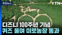 축구장 4개 크기 '미로 농장'...디즈니 100년 기념 / YTN