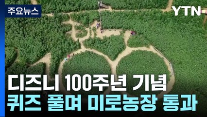 축구장 4개 크기 '미로 농장'...디즈니 100년 기념 / YTN