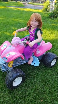 Chicken Rides On Four-Wheeler