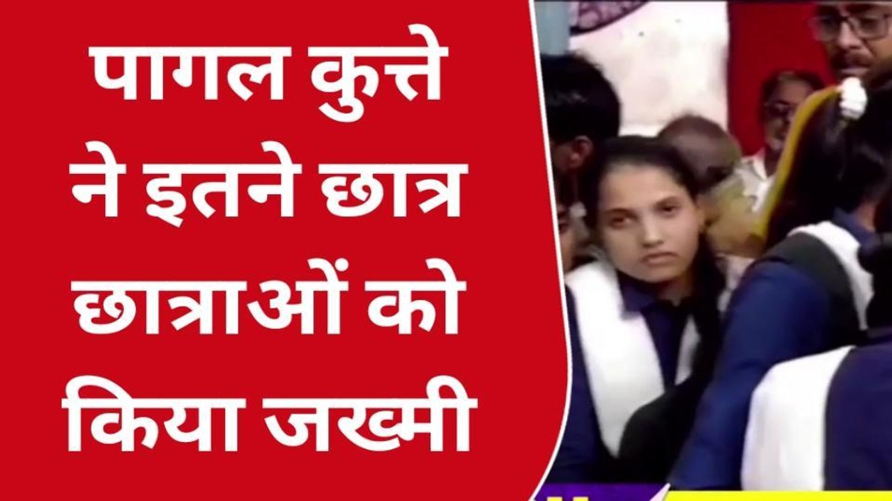 सोनभद्र में पागल कुत्ते का आतंक, कई छात्र-छात्राओं को किया घायल
