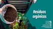 Punto Verde | Vermicompostador, una solución ecológica para el tratamiento de residuos orgánicos