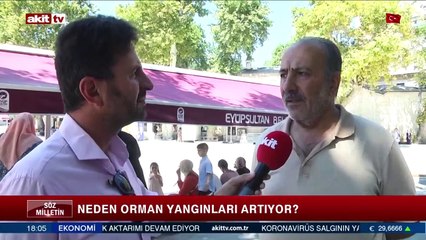 Orman yangınları neden artıyor?