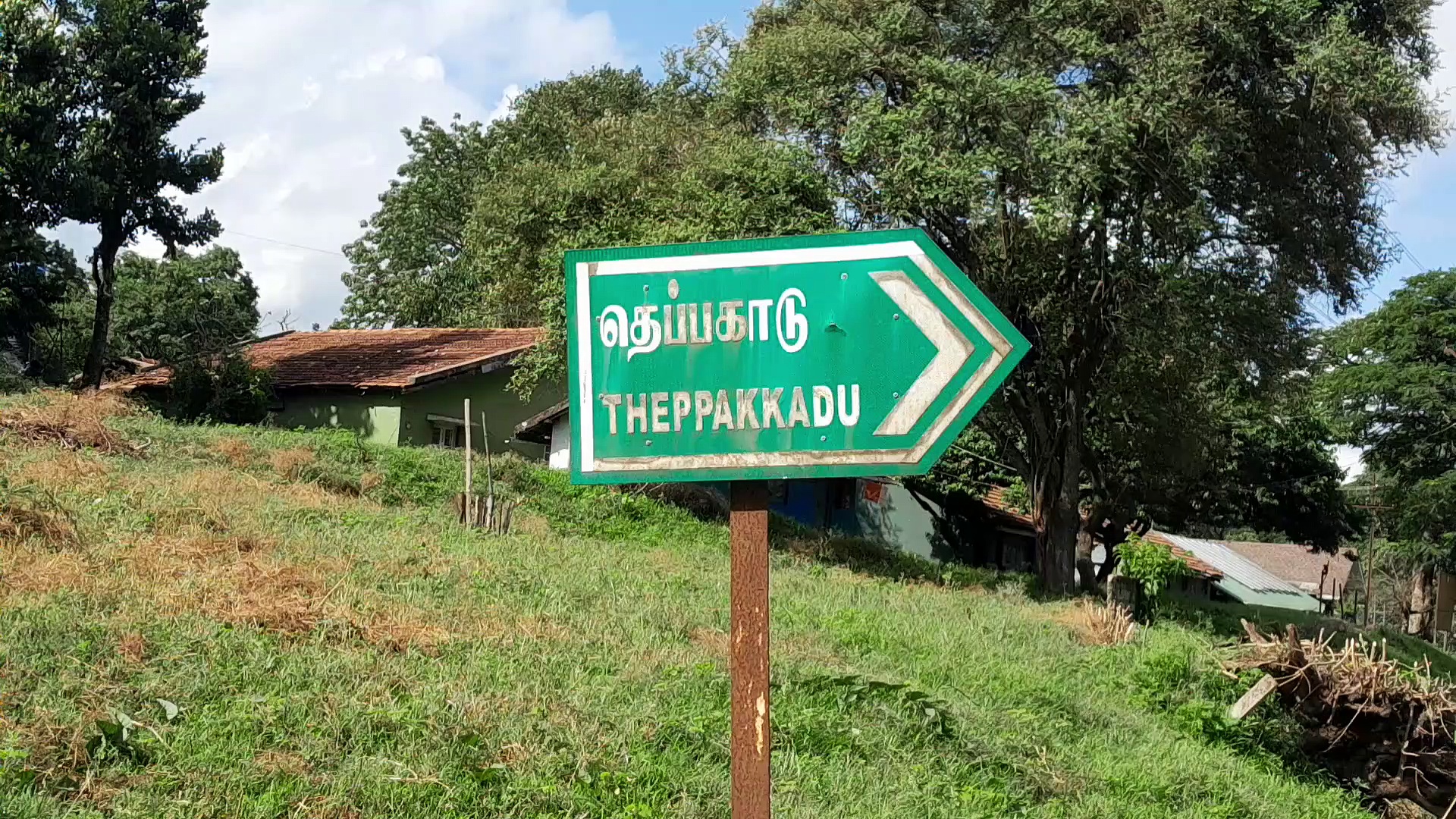 பெள்ளி மற்றும் பொம்மனை சந்தித்த குடியரசுத் தலைவர் திரௌபதி முர்மு