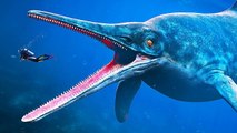 Ocean's Largest Prehistoric Monster Is Found! Other Rarest Deep Sea Creatures