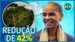 Marina Silva celebra queda no desmatamento durante governo Lula